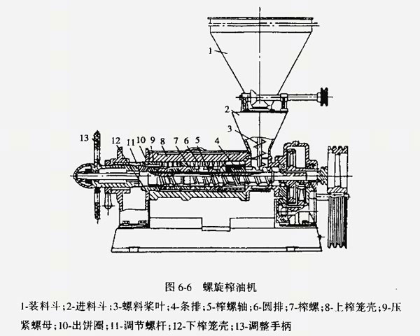 榨油機廠家教您如何解決榨油機不進料的現象？